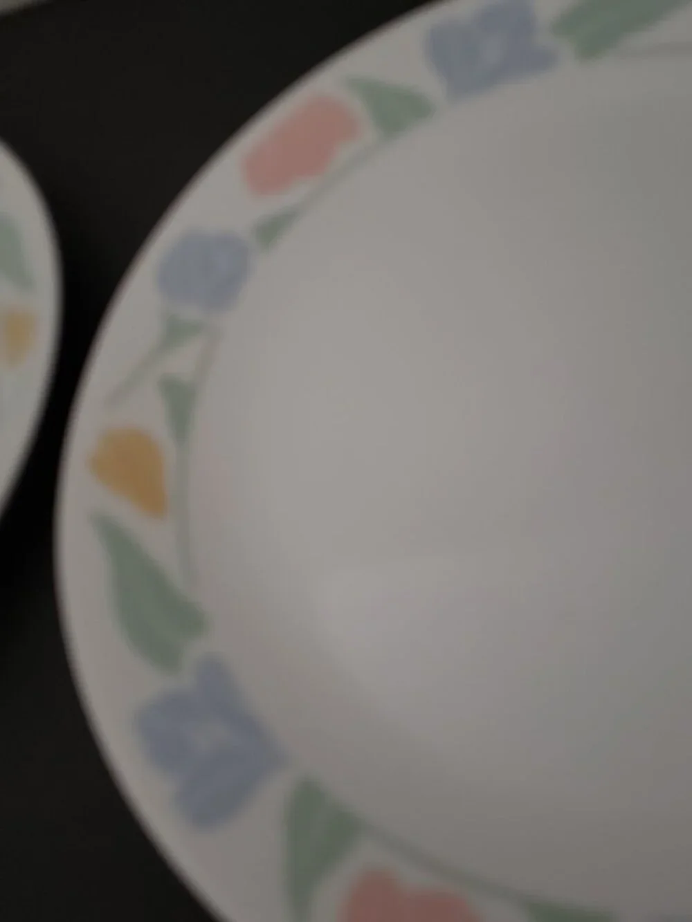 2 Vintage Corelle Friendship 10” Dinner Plates